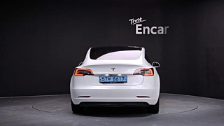 TESLA MODEL 3 2020