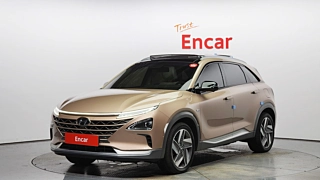 HYUNDAI NEXO  Premium 2020