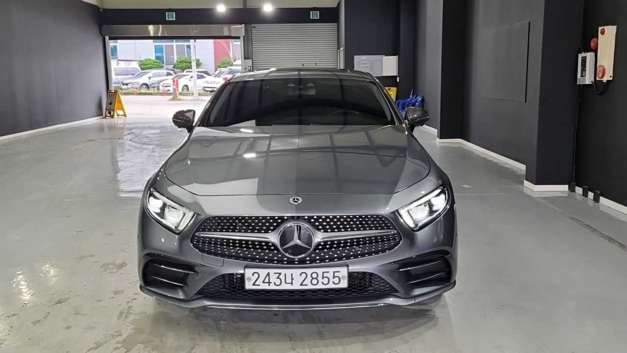 MERCEDES BENZ CLS-CLASS C257 2019