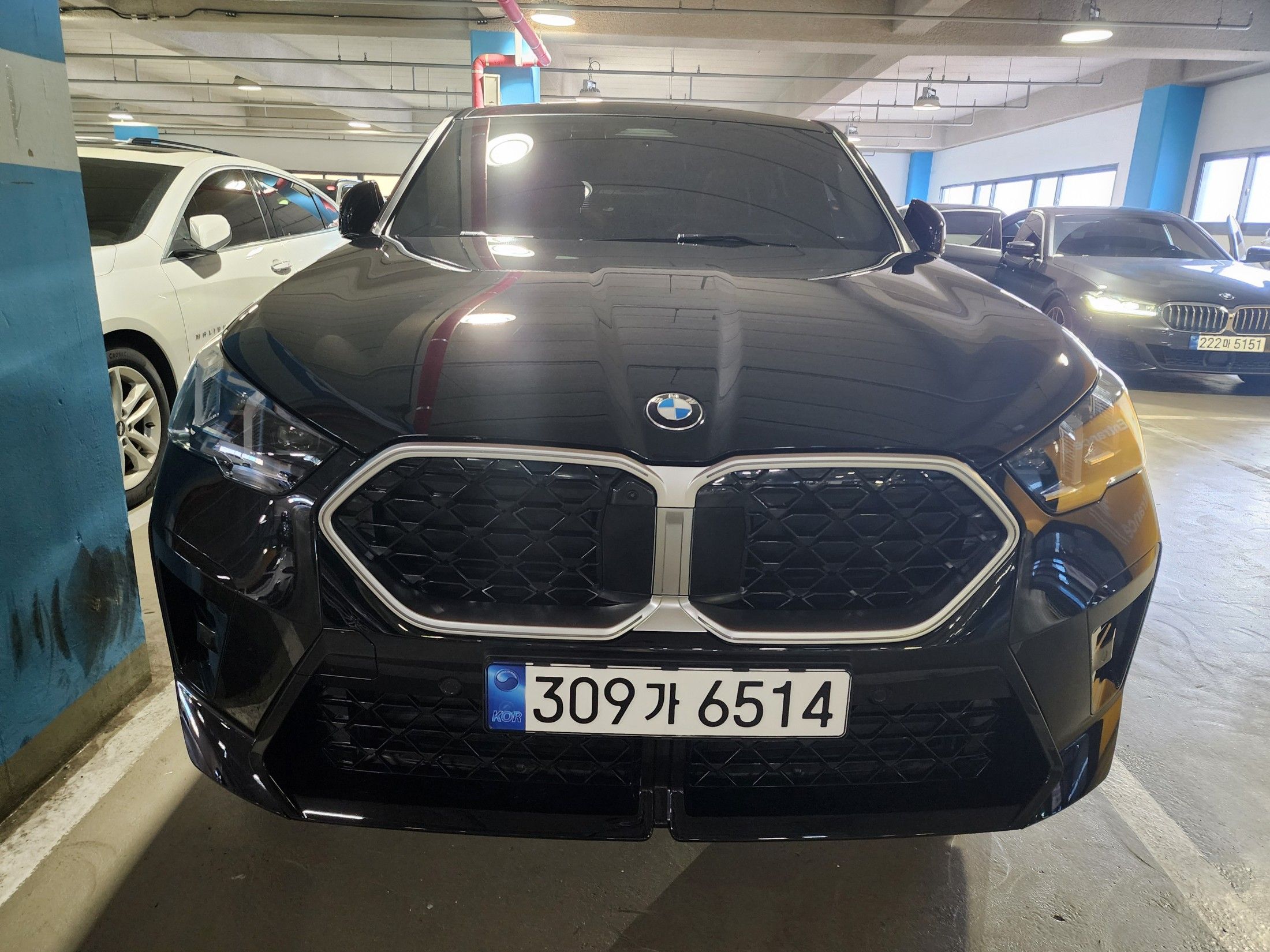BMW X2 F39 U10 2024