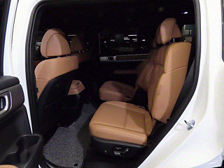 HYUNDAI SANTAFE MX5 2024
