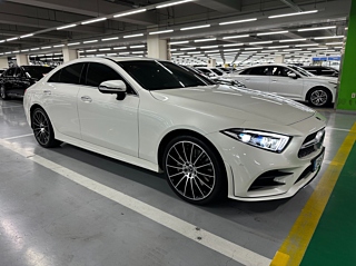 MERCEDES BENZ CLS-CLASS C257 2019