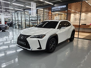 Заказать LEXUS UX300H