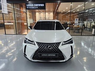 Заказать LEXUS UX300H