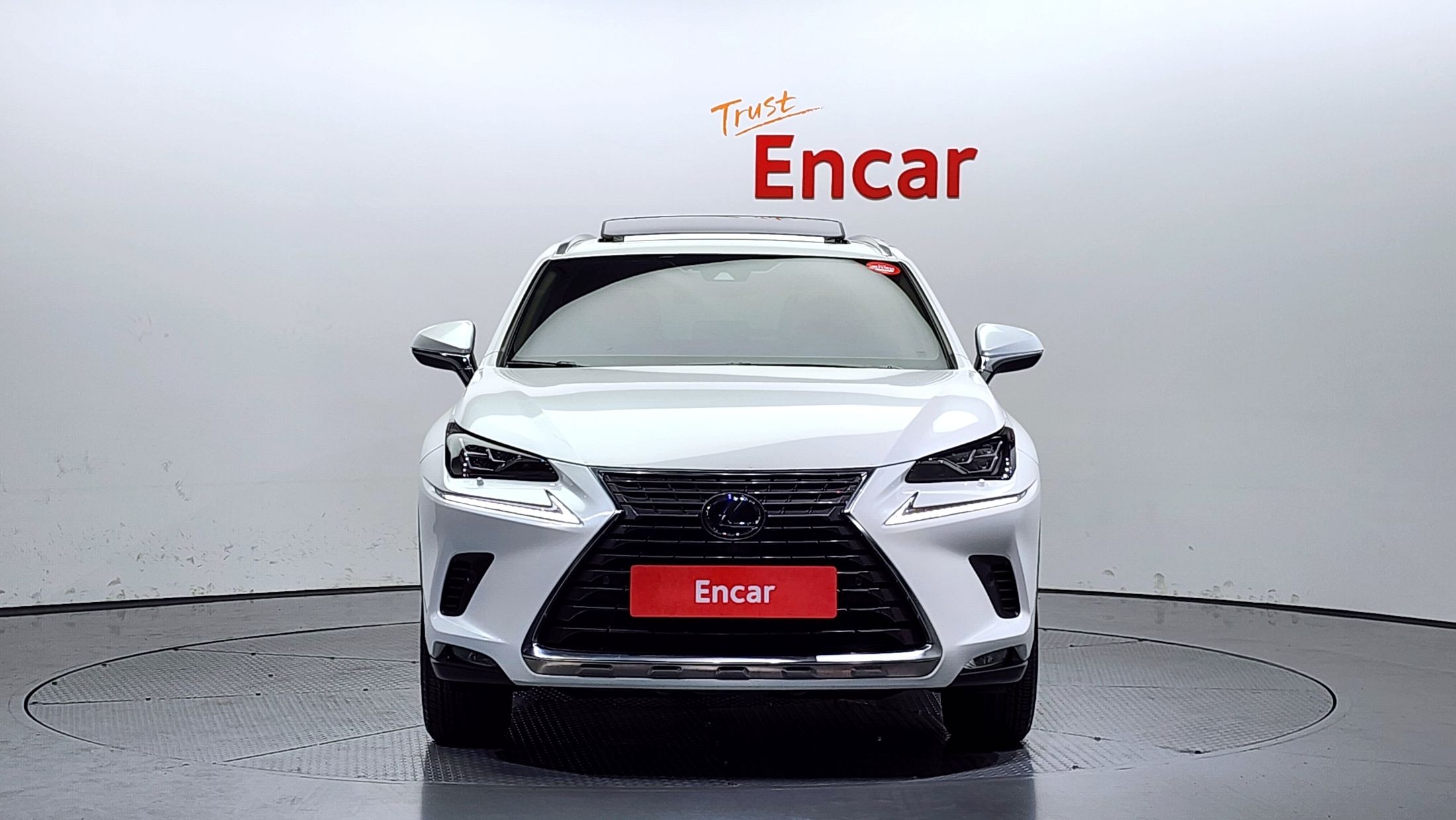 LEXUS NX300H 2019
