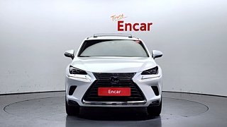 LEXUS NX300H 2019