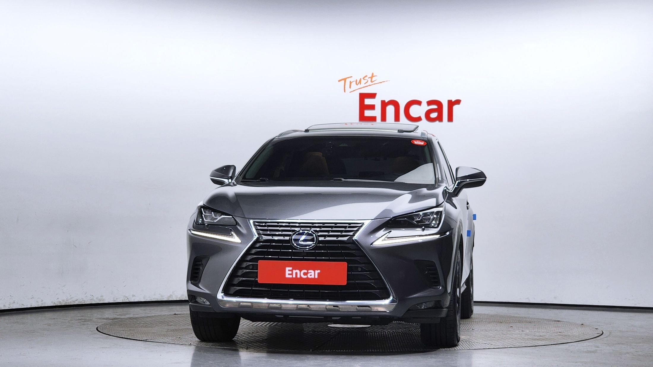 LEXUS NX300H 2019