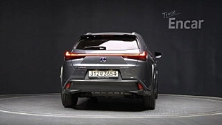 LEXUS UX250H 2020