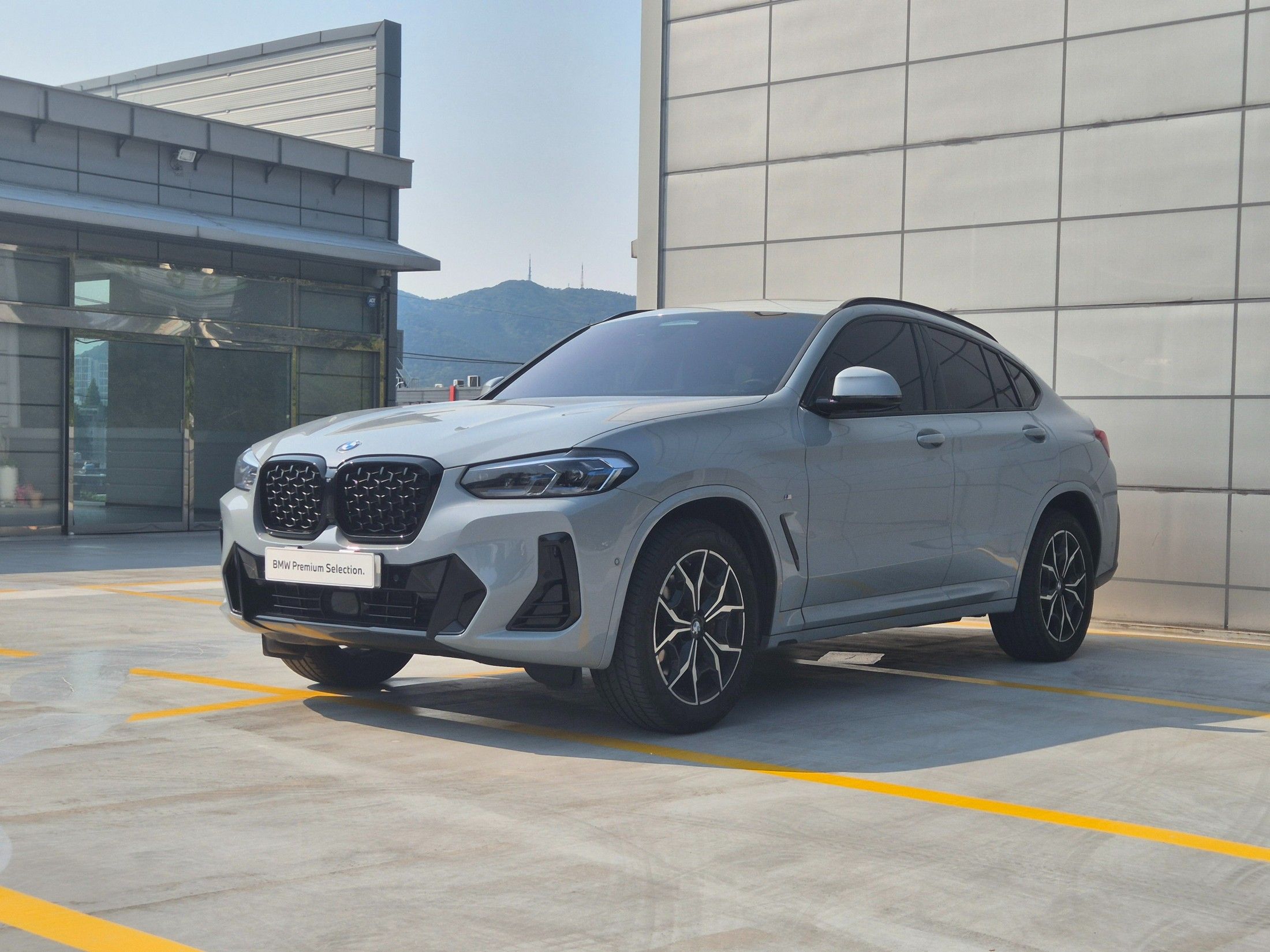 BMW X4 G02 2023