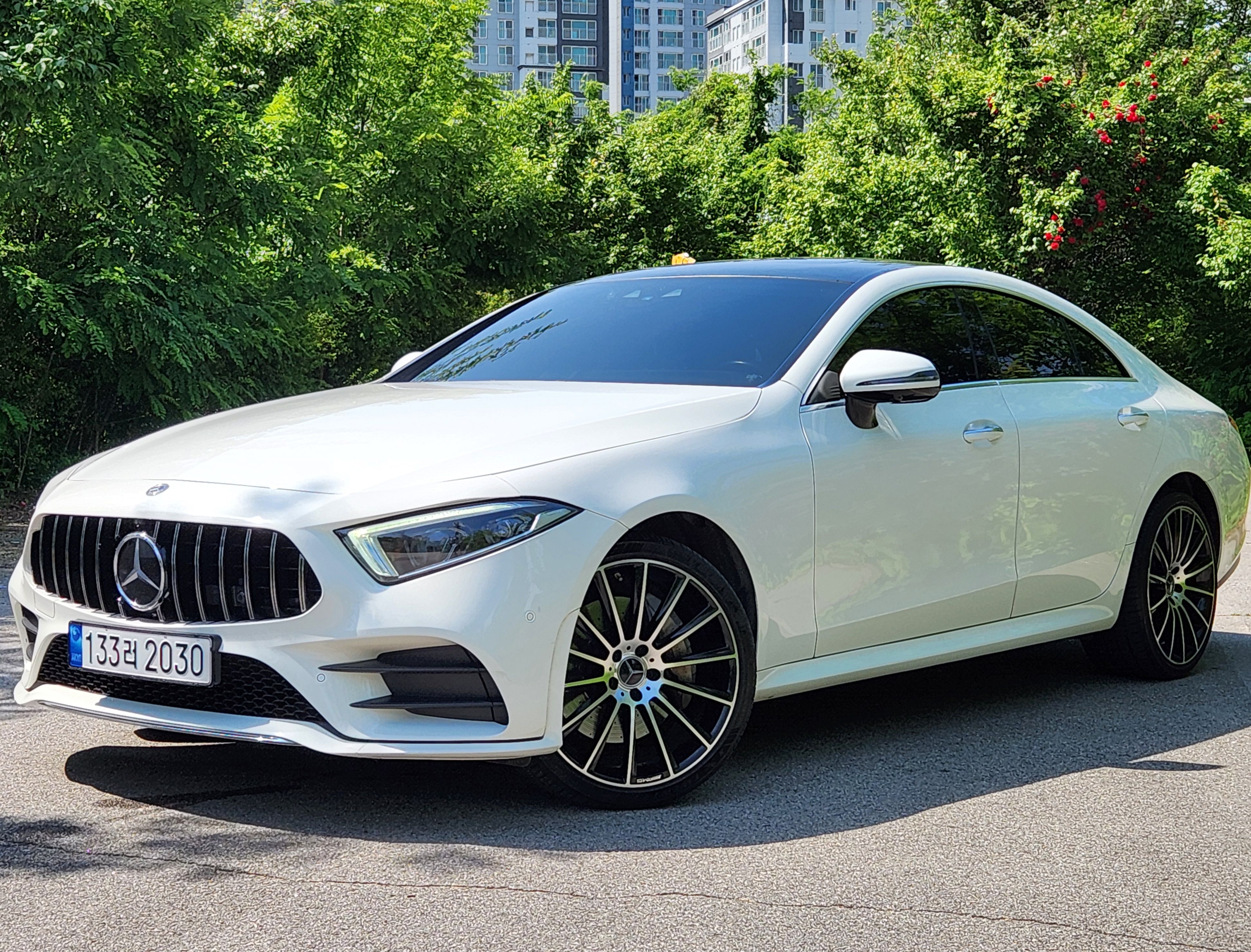 MERCEDES BENZ CLS-CLASS C257 2019