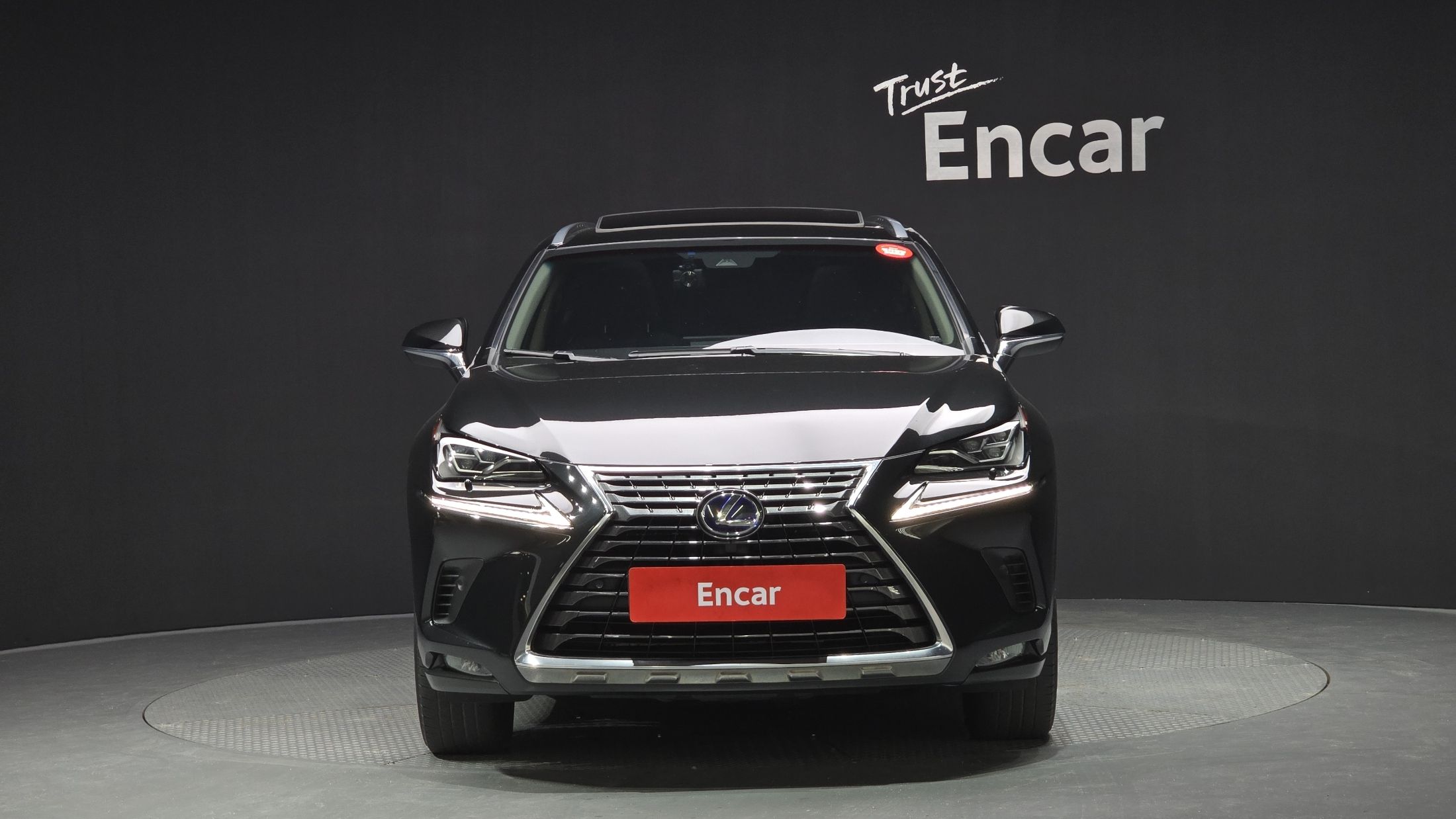 LEXUS NX300H 2019