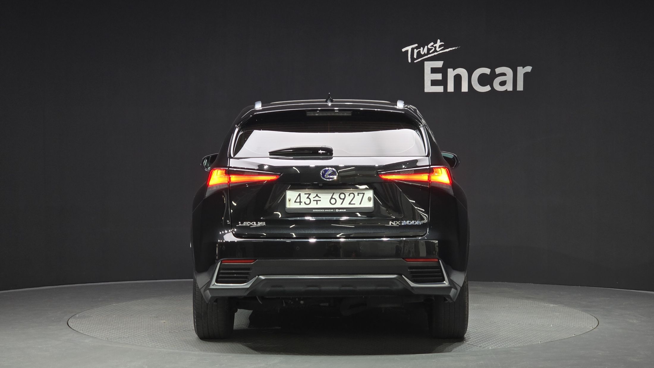 LEXUS NX300H 2019
