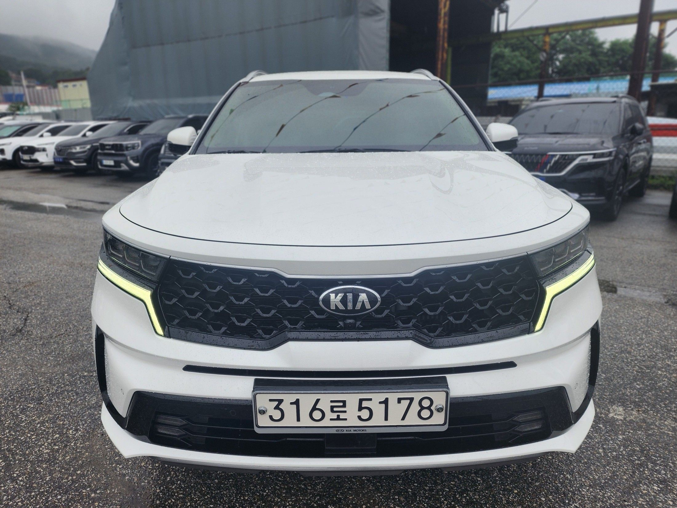 KIA SORENTO