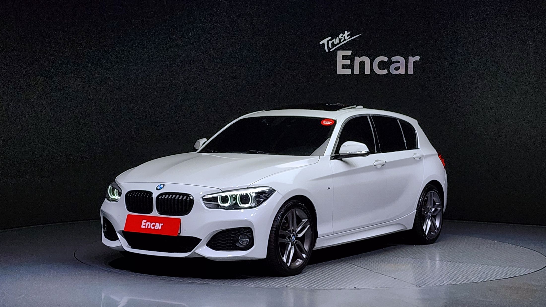 BMW 1-SERIES F20 2017