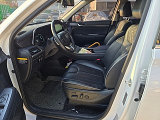 HYUNDAI PALISADE 2020