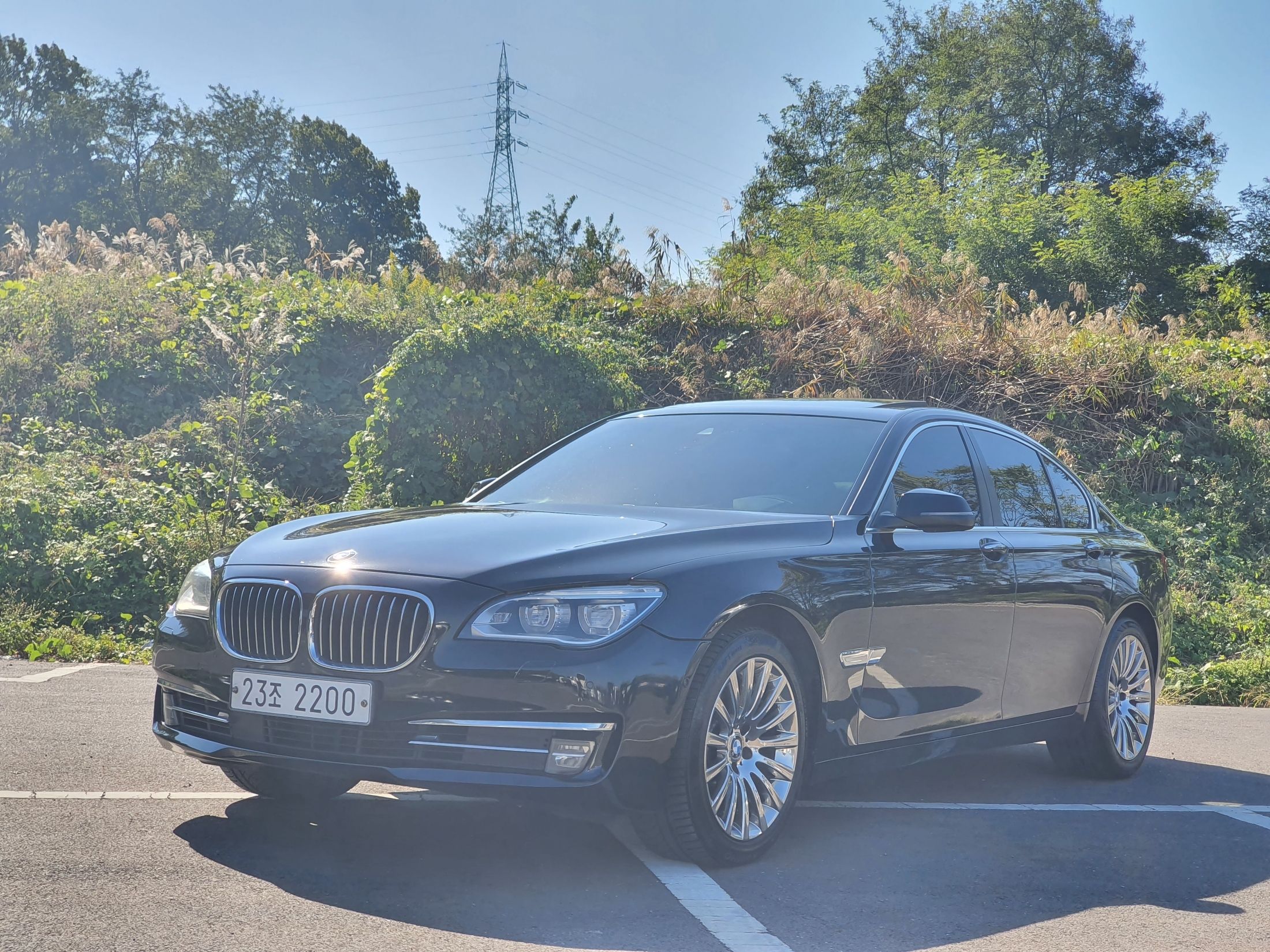 Аукционный лист BMW 7-SERIES F01 2012