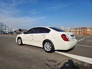 catalog-car-3