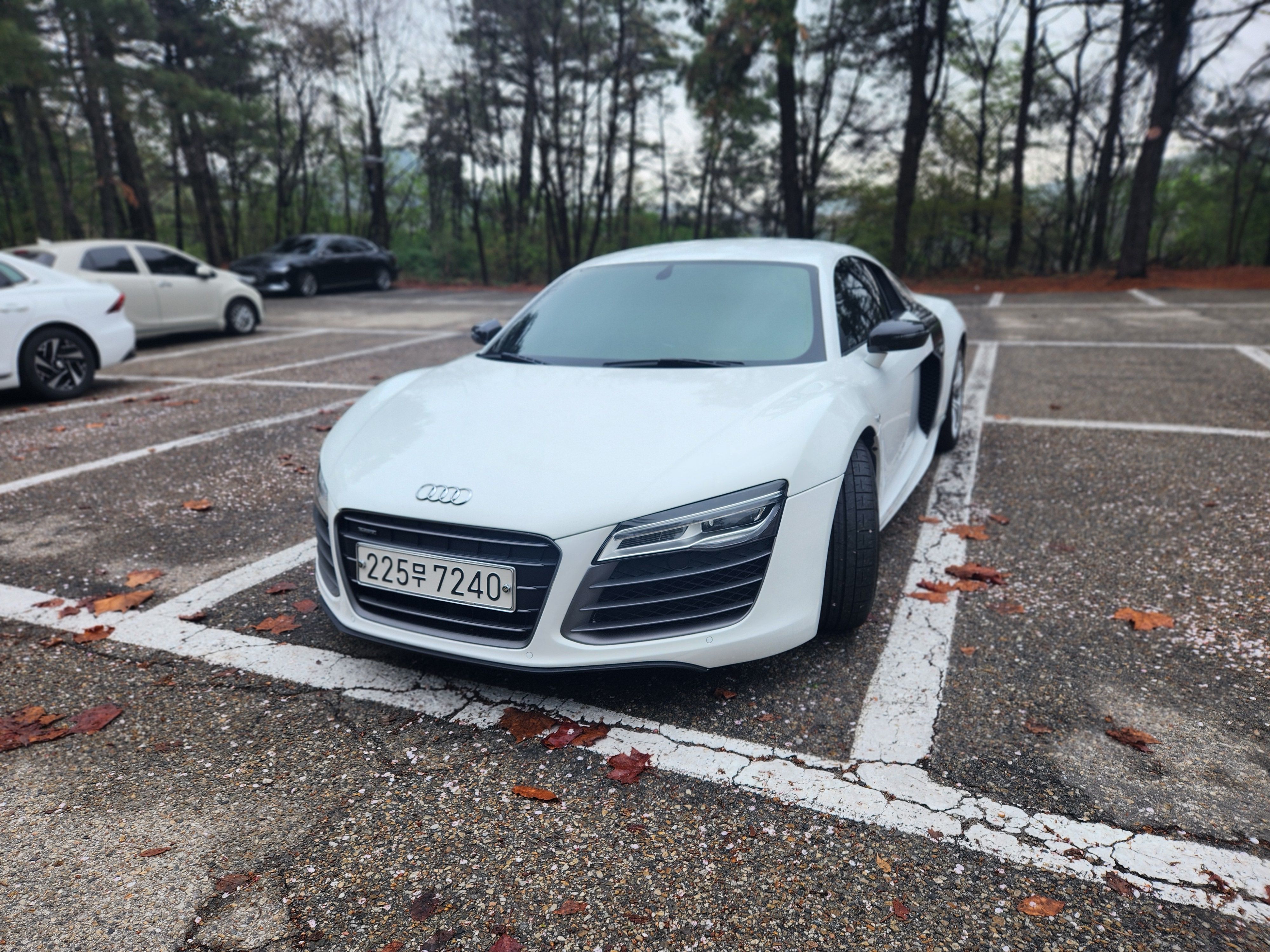 AUDI R8