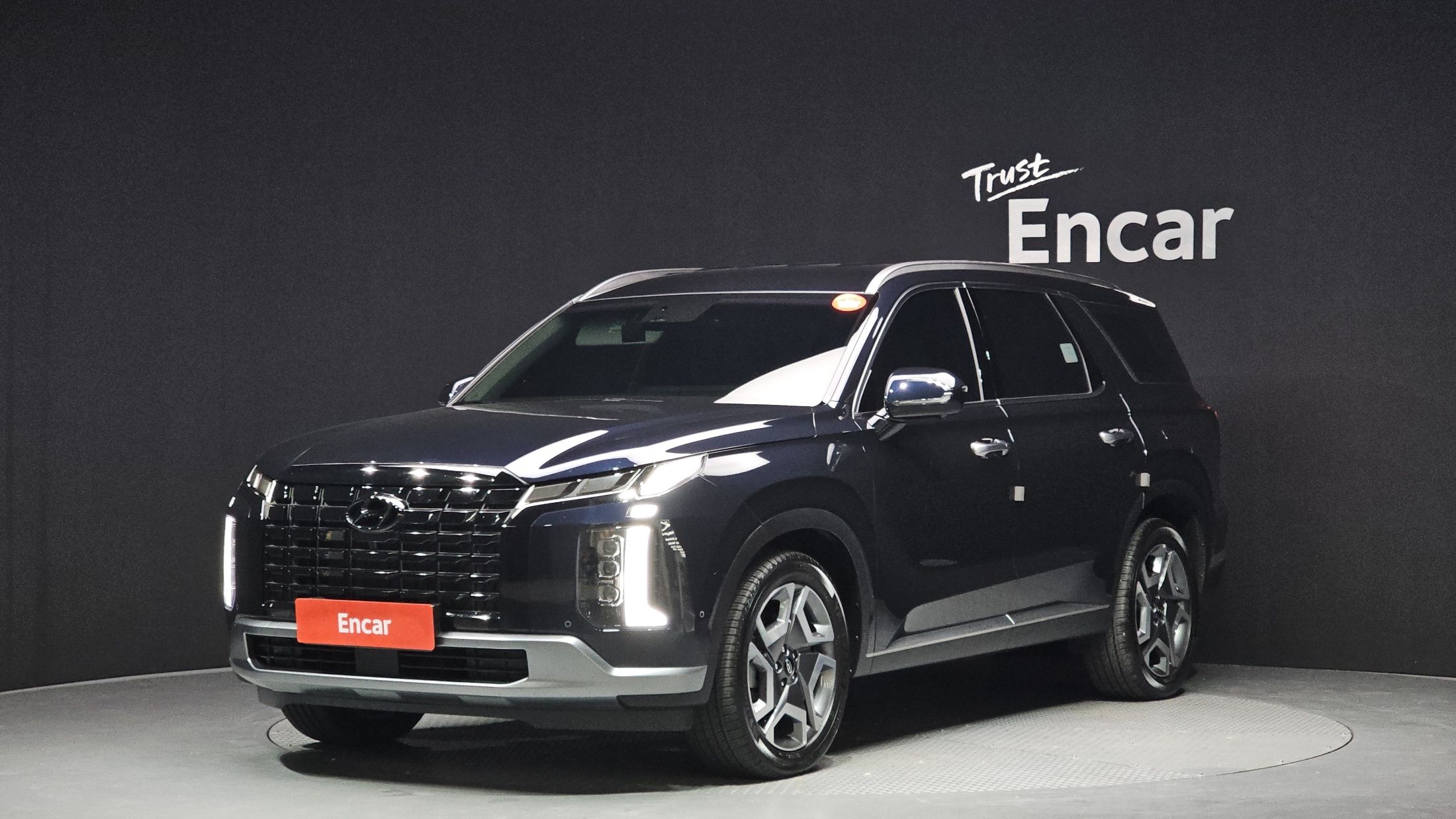 HYUNDAI PALISADE 2024