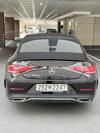 MERCEDES BENZ CLS-CLASS C257 2019