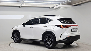 LEXUS NX350H 2024