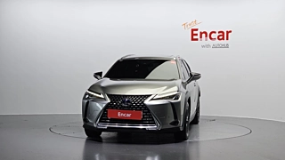 LEXUS UX250H 2019