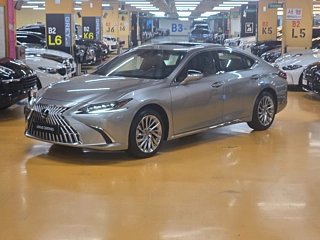Заказать LEXUS ES300H