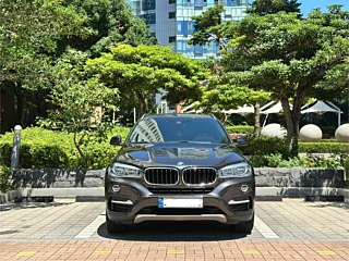 BMW X6 F16 2017
