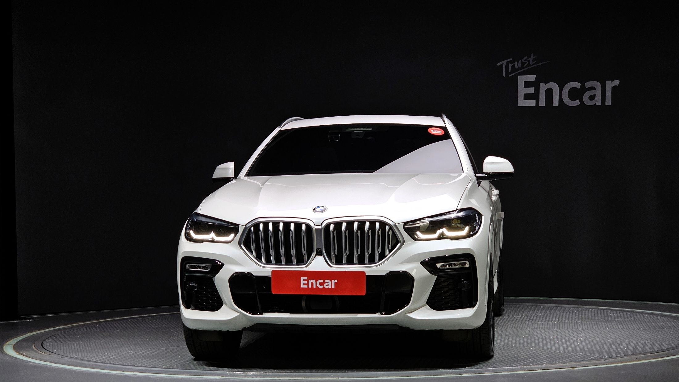 BMW X6 G06 2021