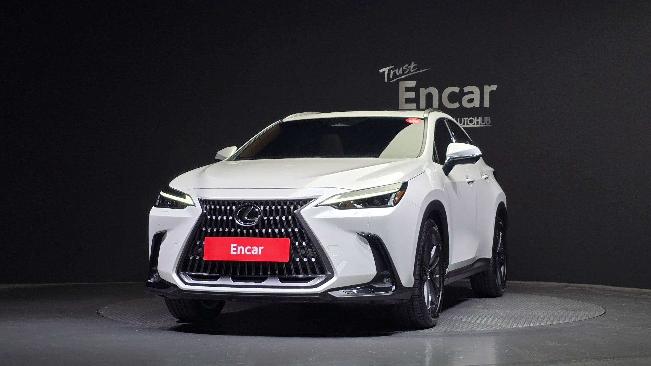 LEXUS NX350H 2024