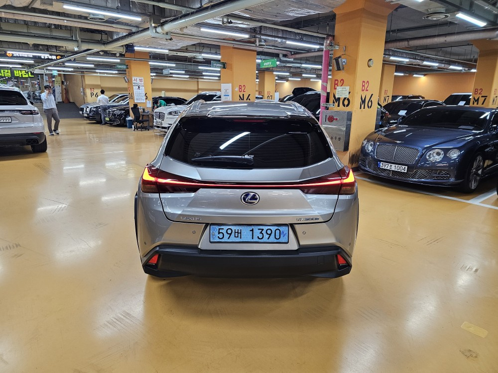 LEXUS UX300E 2022