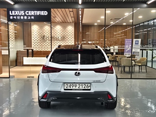 LEXUS UX300H 2024