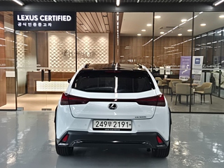 LEXUS UX300H 2024