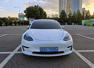 TESLA MODEL 3 2021