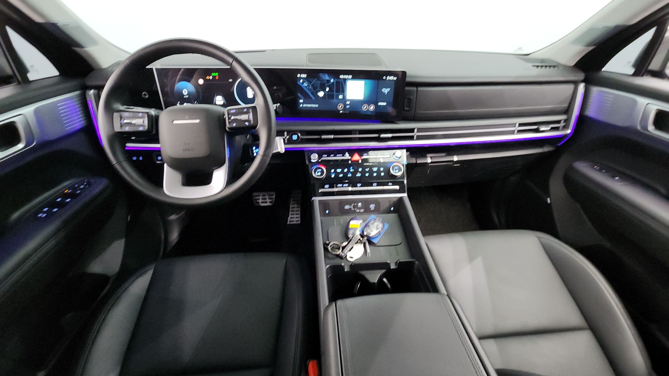 HYUNDAI SANTAFE MX5 2024