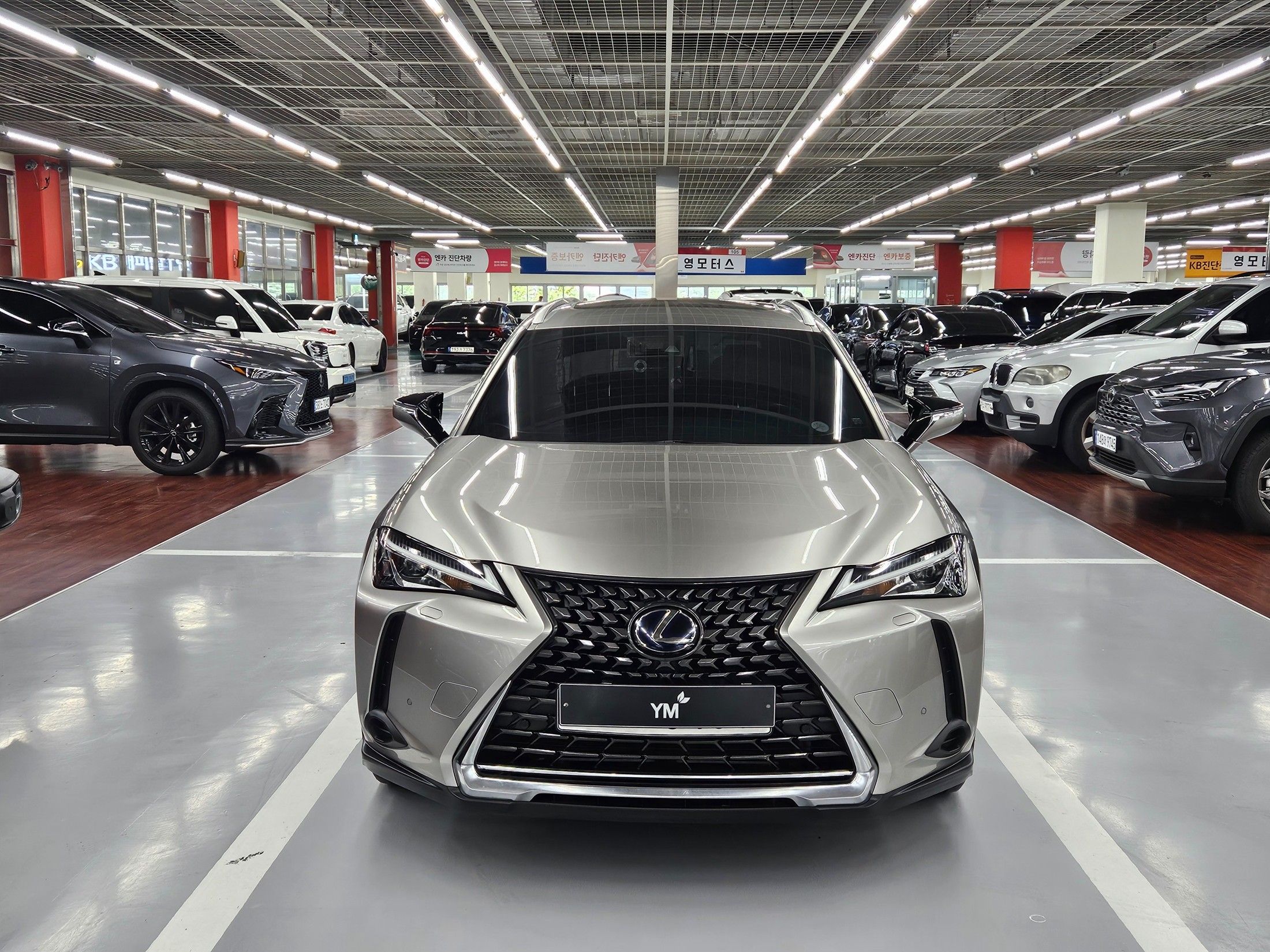 LEXUS UX250H 2019