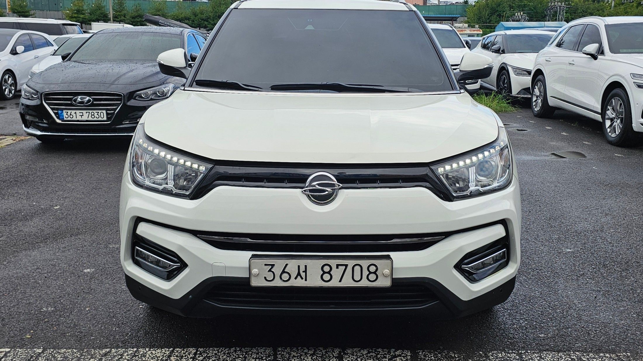 SSANGYONG TIVOLI ARMOR 2017