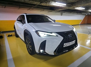 LEXUS UX250H 2021