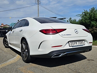MERCEDES BENZ CLS-CLASS C257 2019