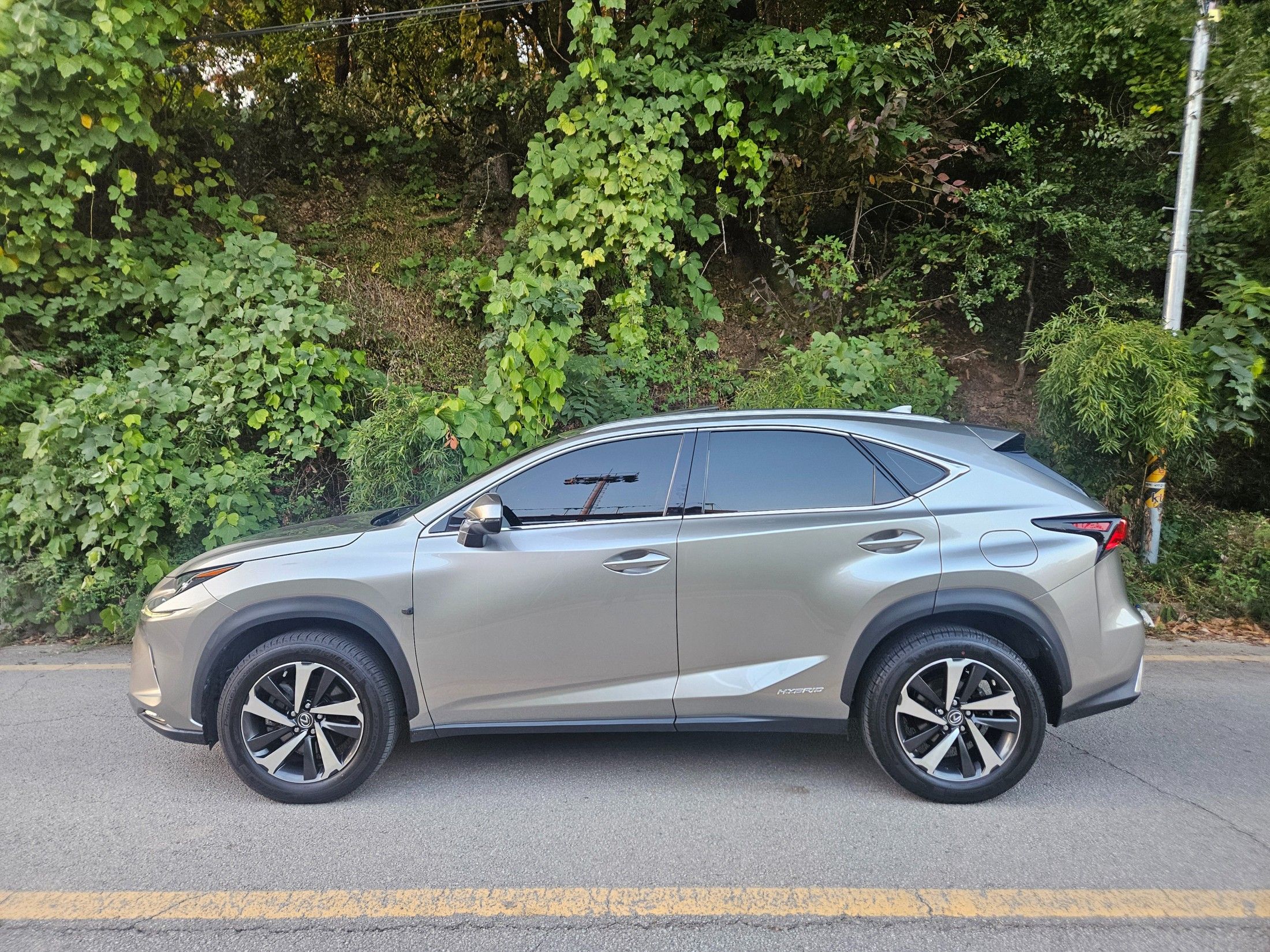LEXUS NX300H 2021