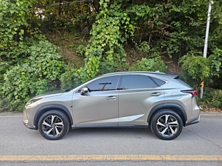 LEXUS NX300H 2021