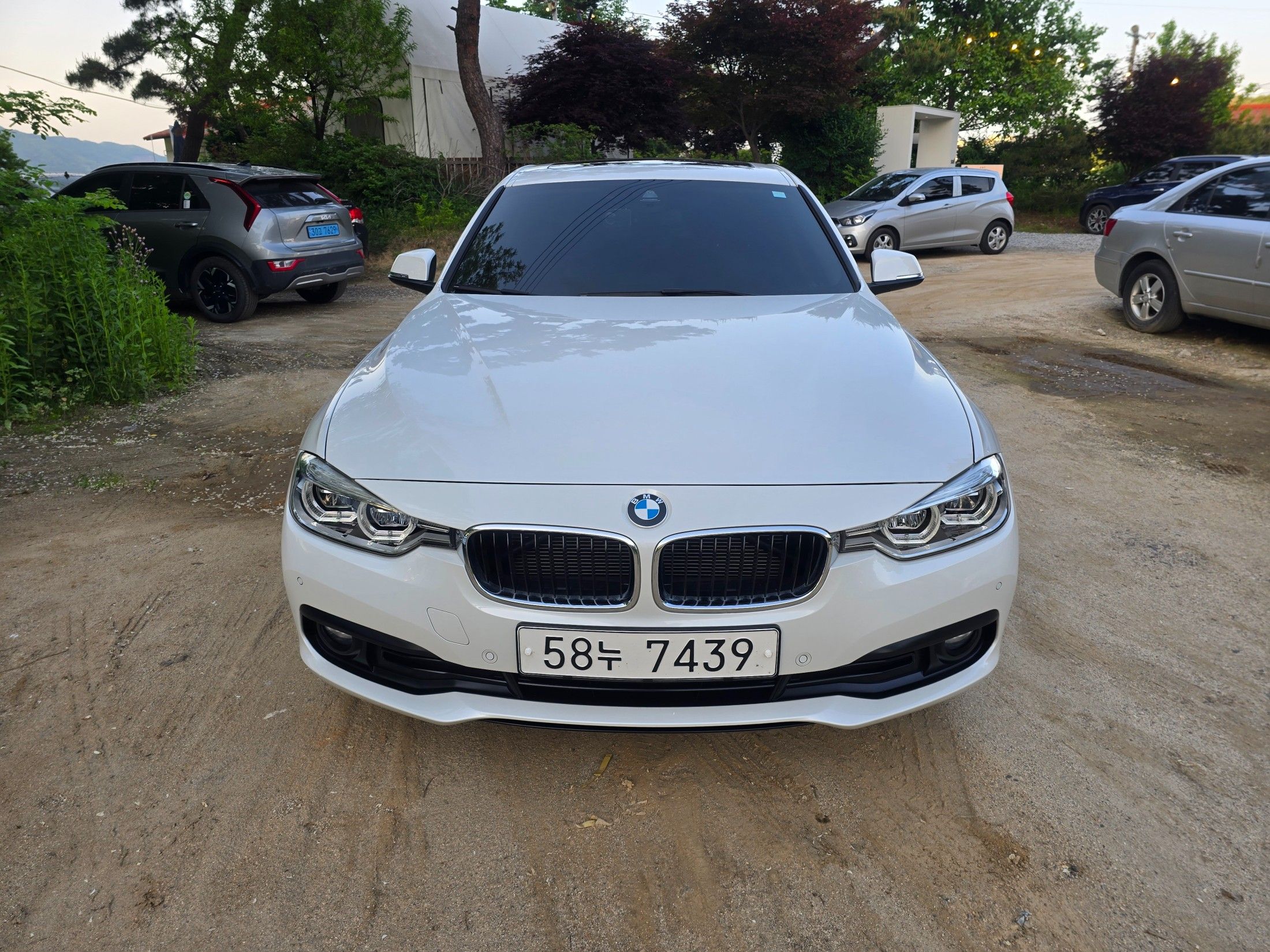 BMW 3-SERIES F30 2017
