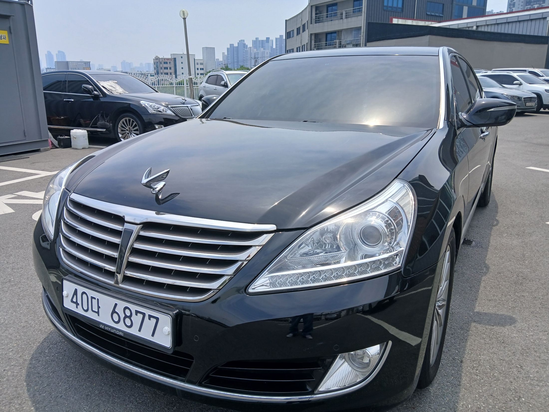 HYUNDAI EQUUS NEW 2013