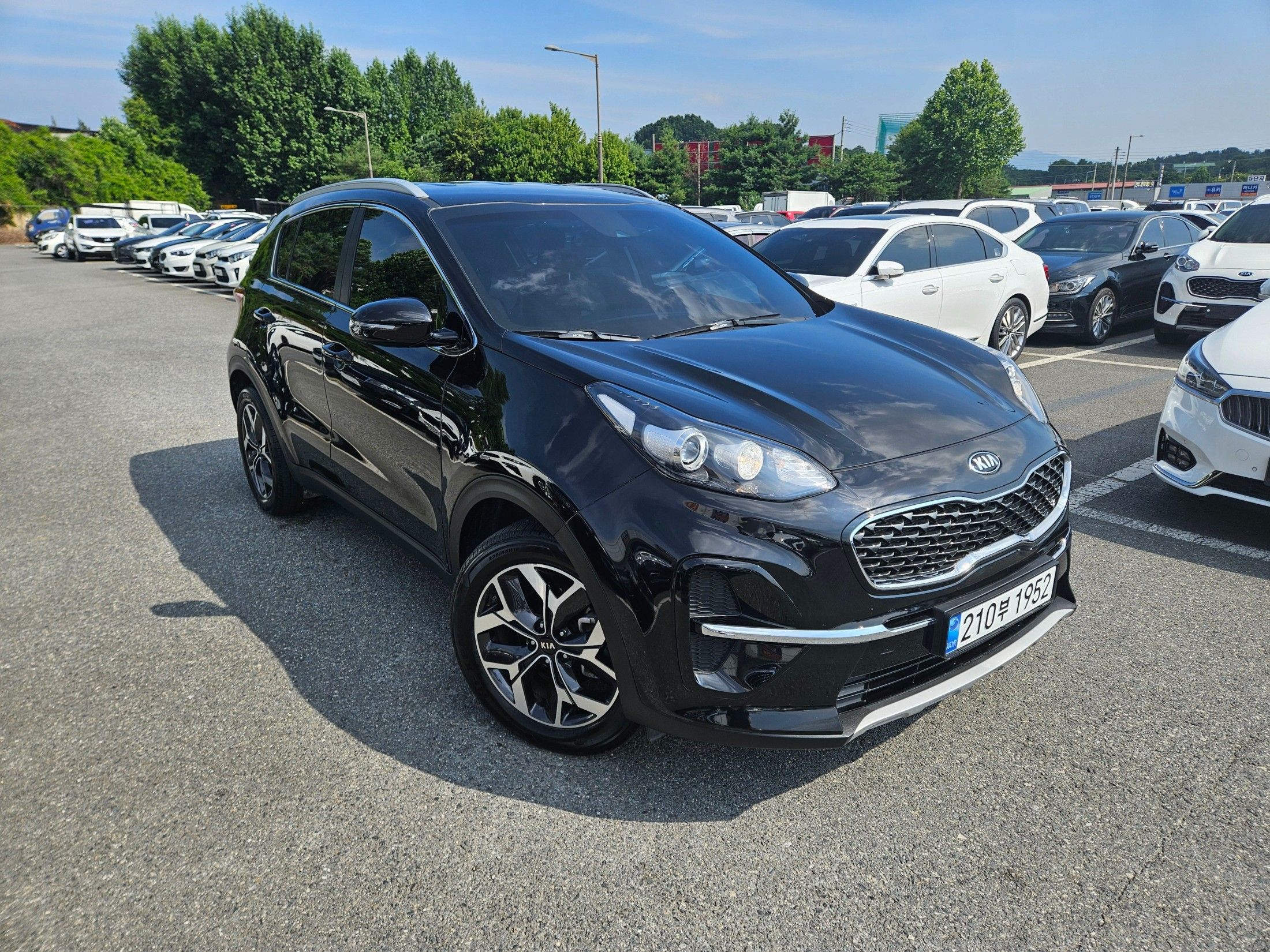KIA SPORTAGE THE BOLD
