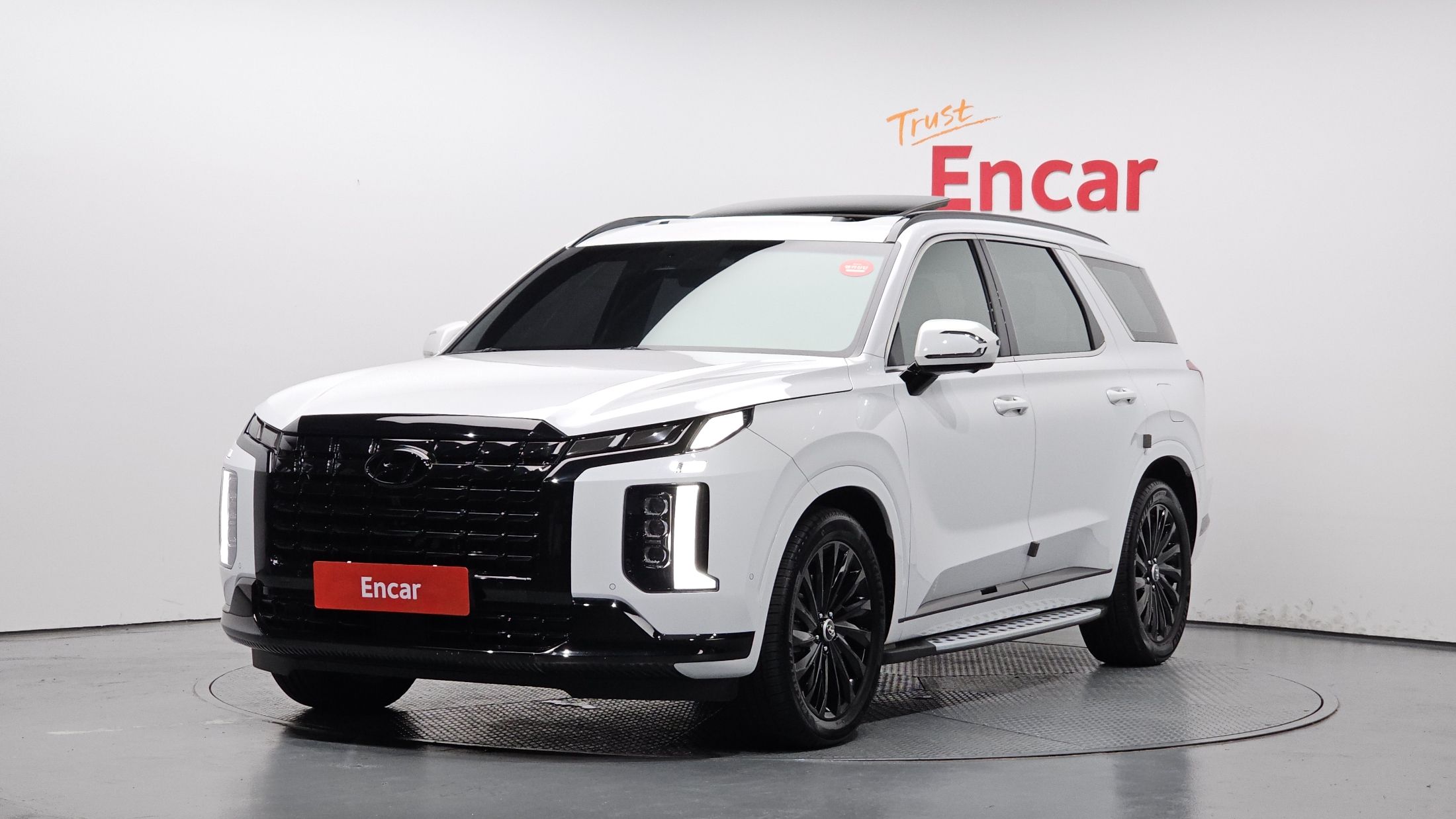 HYUNDAI PALISADE 2024