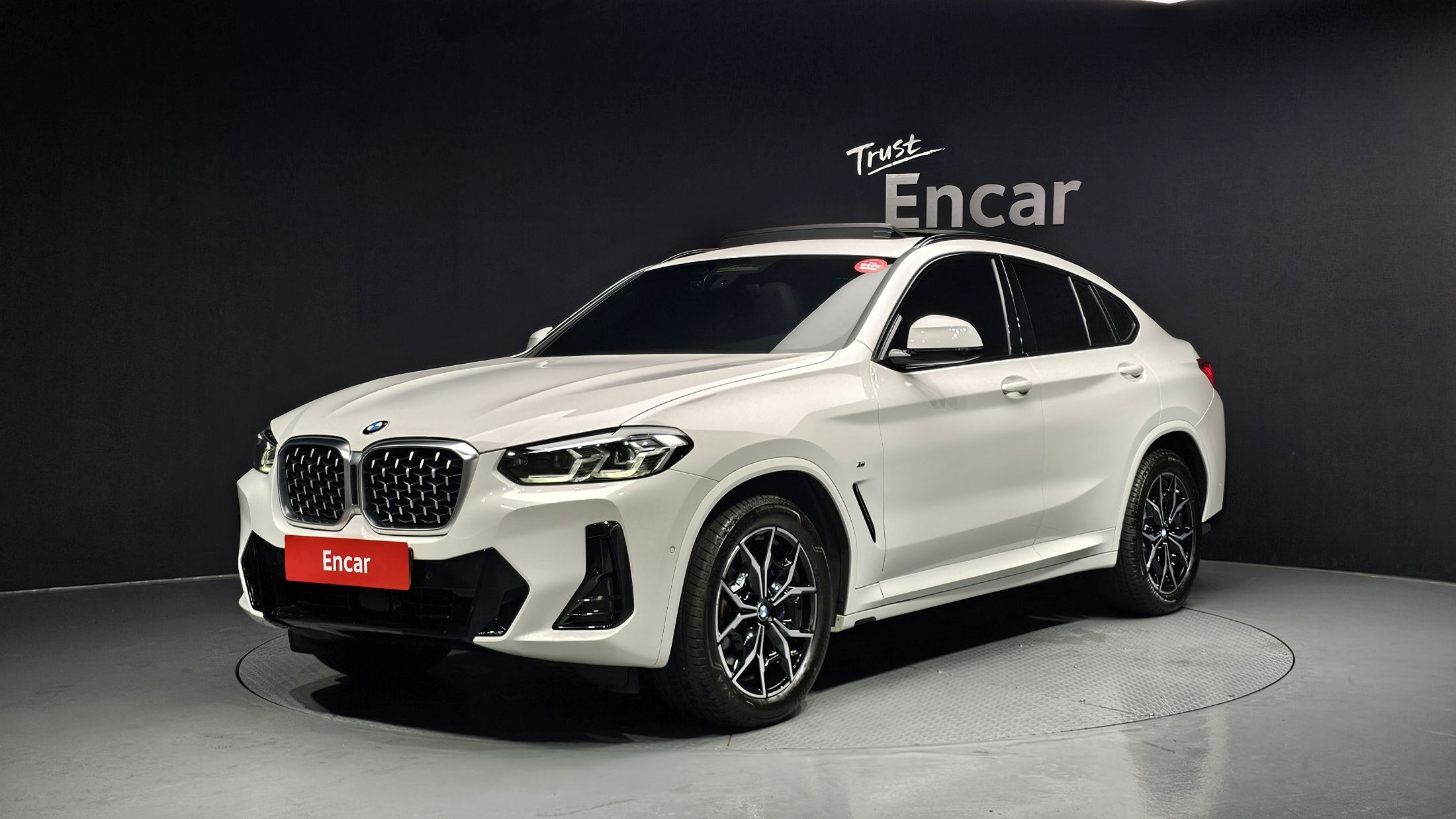 BMW X4 G02 2022