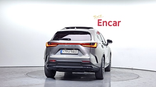 LEXUS NX350H 2023