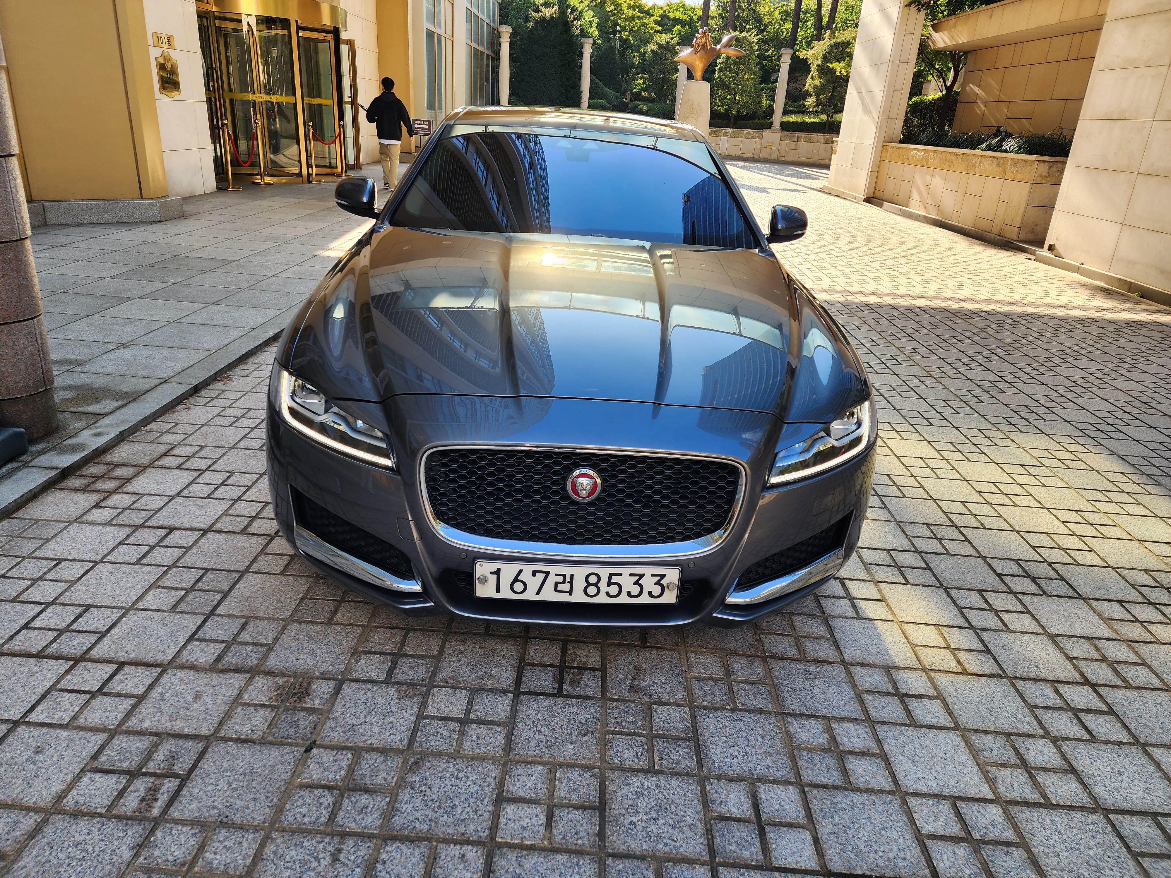 JAGUAR XF X260 2019