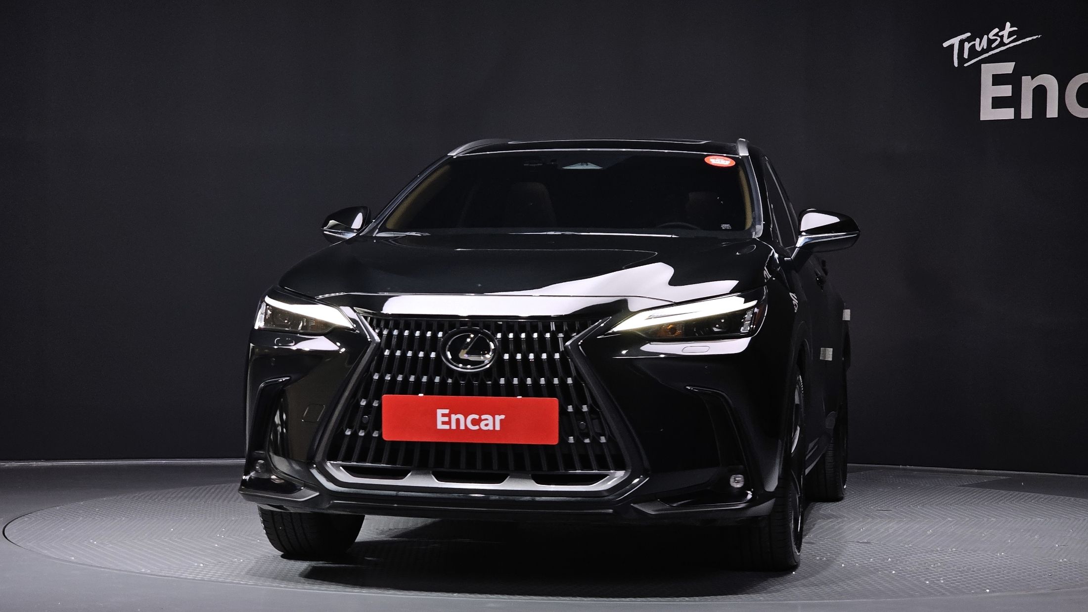 LEXUS NX350H 2024