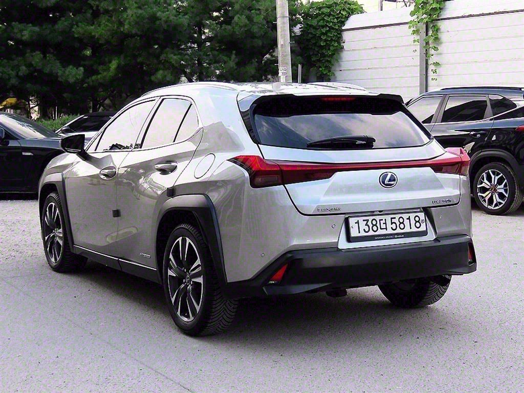 LEXUS UX250H 2019